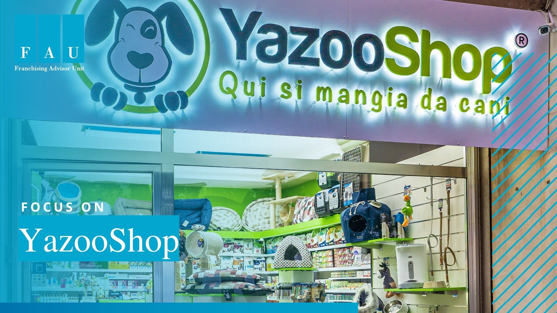 Yazoo, Pet Shop per tutti

